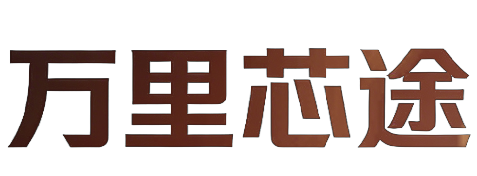 万里芯途-硬件GMS出海问答
